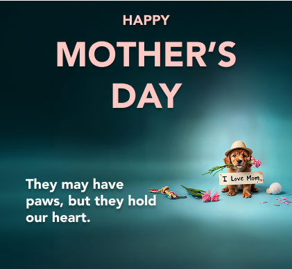 Food Frenzy! Save up to 30% 