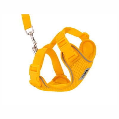 RC Pets Adventure Kitty Harness Marigold, Small