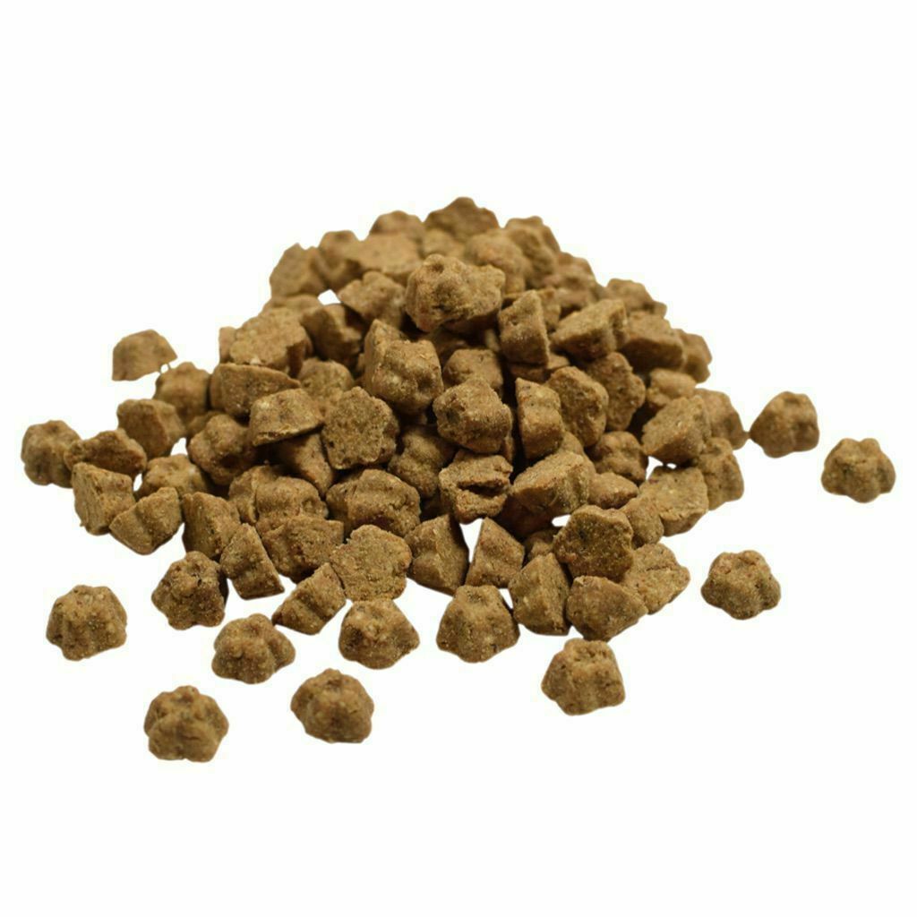 Lotus Small Bites Grain-Free Turkey Oven-Baked Recipe Dry Dog Food, 10-lb image number null