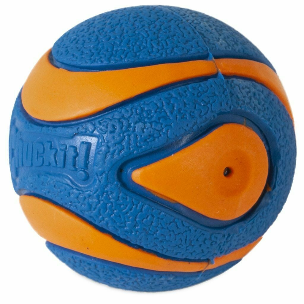 Chuckit! Small Ultra Squeaker Ball Dog Toy, 1-count image number null