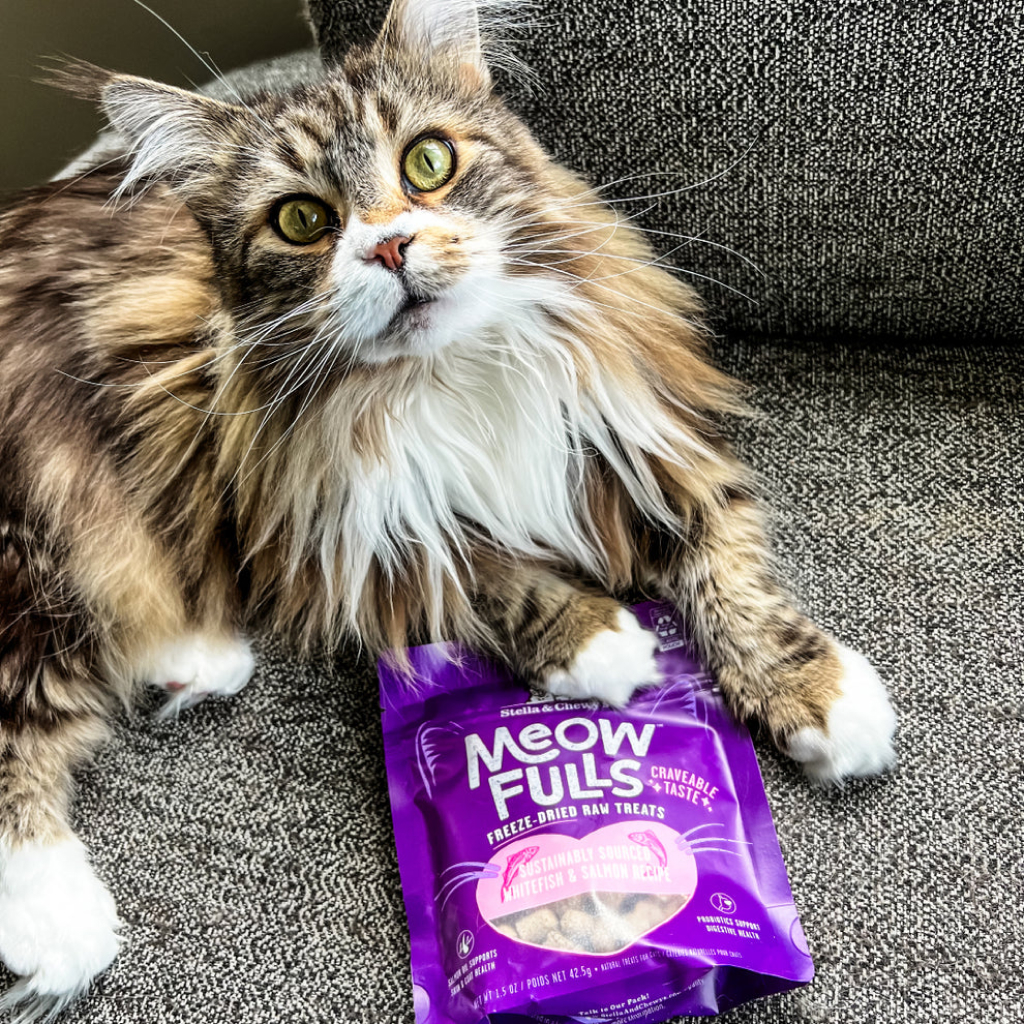 Stella & Chewy's Meowfulls Whitefish & Salmon Cat Treats, 1.5-oz image number null