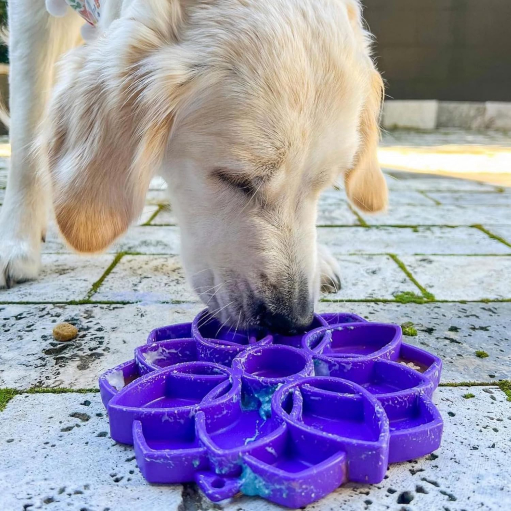Sodapup Mandala Enrichment Shallow Slow Feeding Tray, Purple image number null