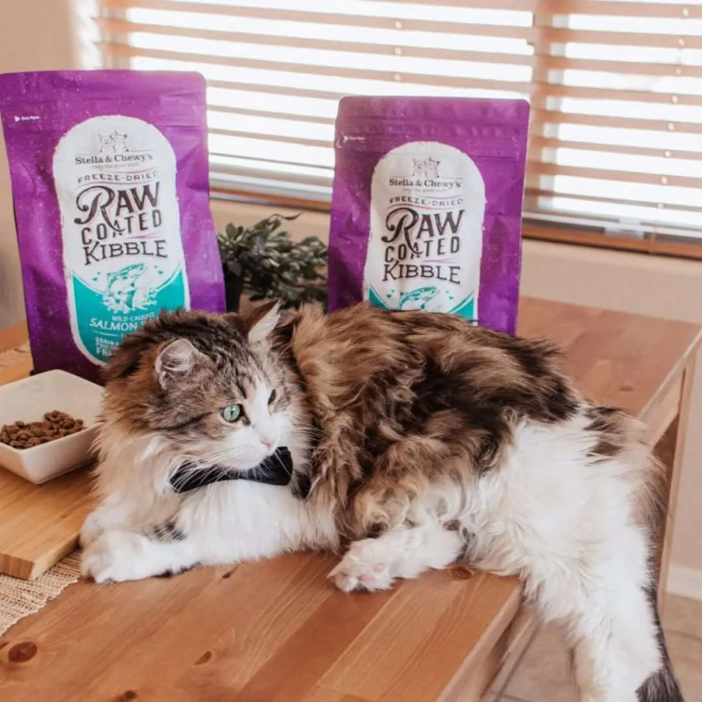 Stella & Chewy's Cat Raw Coated Kibble, Wild-Caught Salmon Recipe, 5-lbs image number null